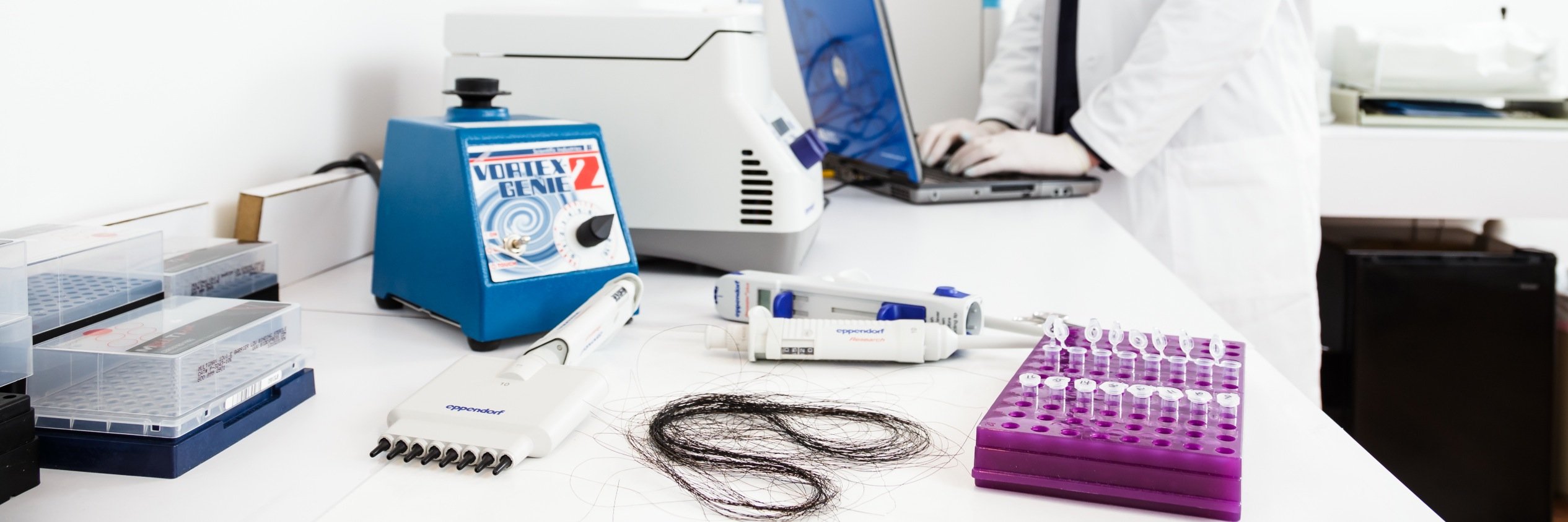 Equine Analysis banner