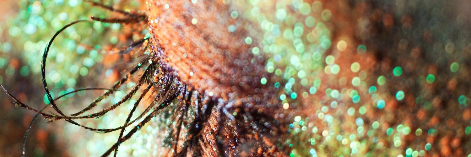 AshleyJoyBeck's profile banner image
