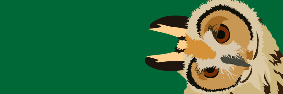 Kelsey Barrick banner