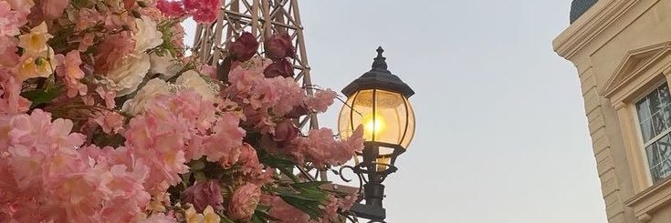 Mlle_S2's profile banner image