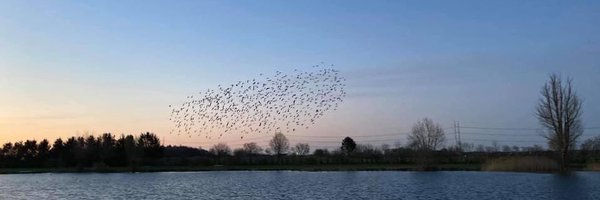 JohanMassier Profile Banner