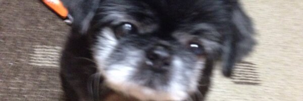 1128Naotin Profile Banner