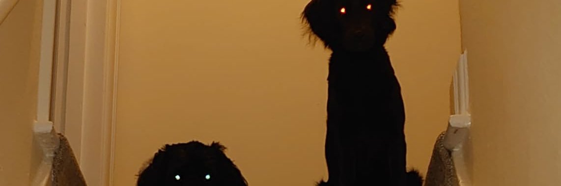 amosite05's profile banner image