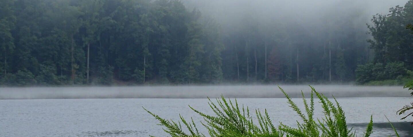 Mathilda Shepard banner