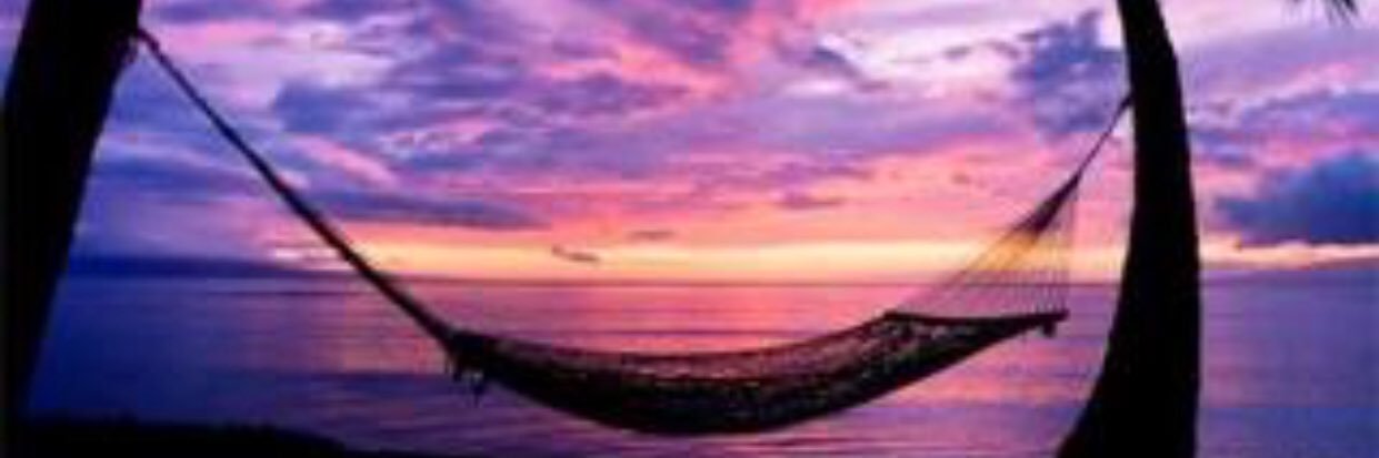 L_Bird29's profile banner image