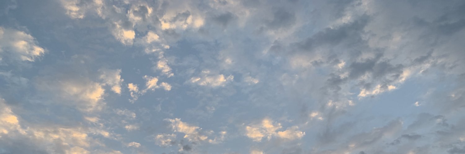 daliawael's profile banner image