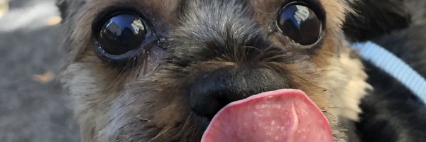 xiamemi Profile Banner