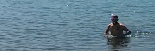 The Dutch Assassin banner