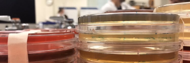 Lutter Lab banner