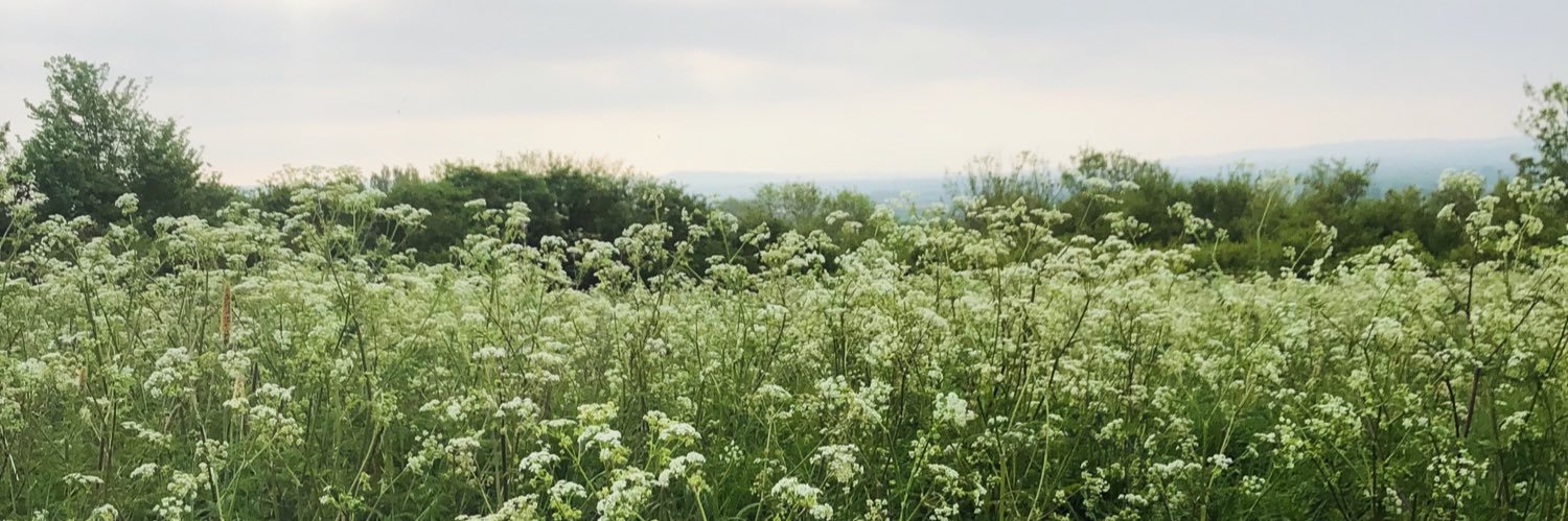 bethbdavisxo's profile banner image