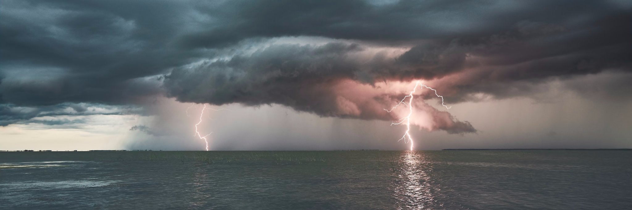 Dustin Freeman banner