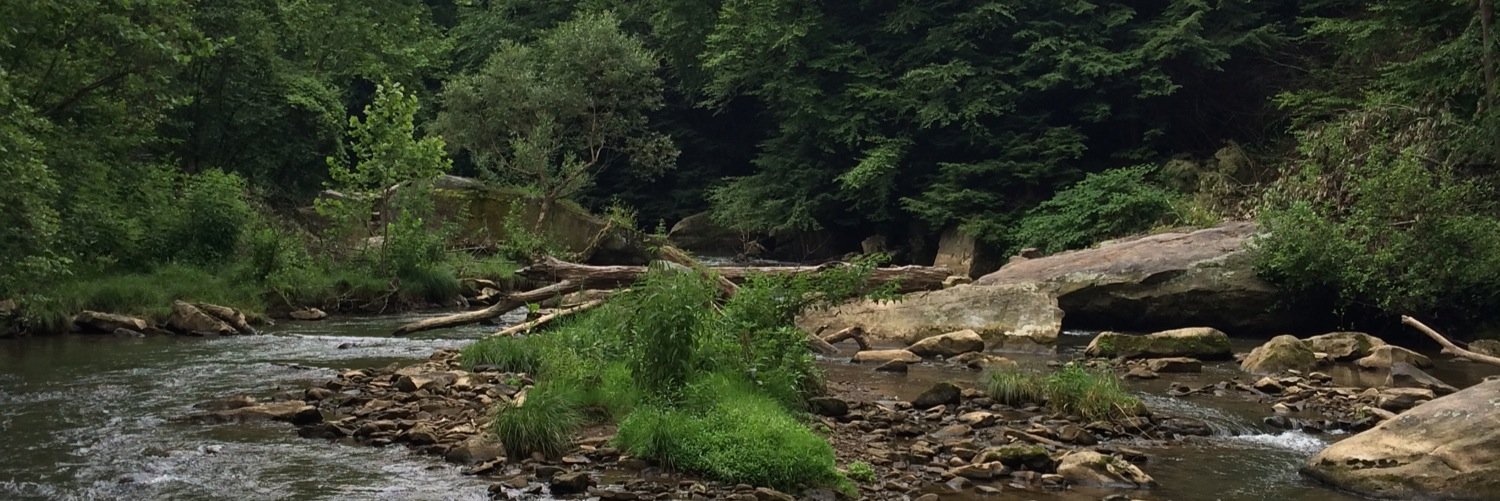 Zach Burright banner