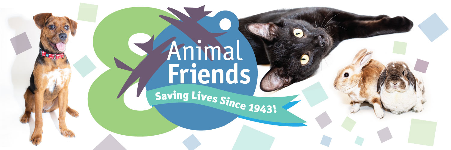 Animal Friends banner