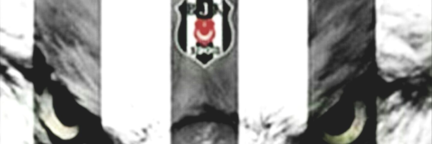 NevalYaln's profile banner image