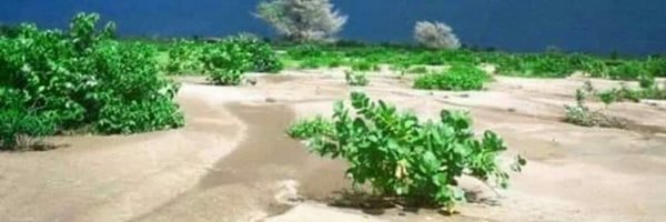 abospha1 Profile Banner