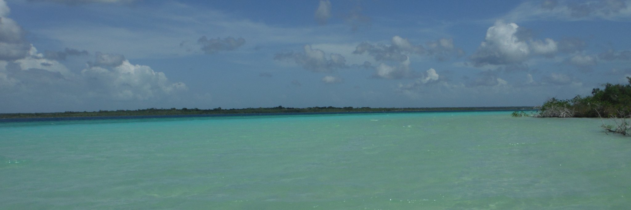 xarondoo's profile banner image