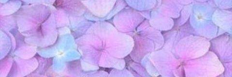 MokgwathiSame's profile banner image
