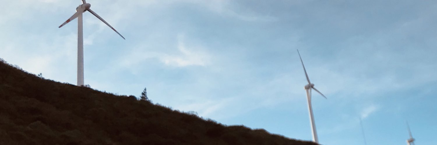 eduardonoboa's profile banner image