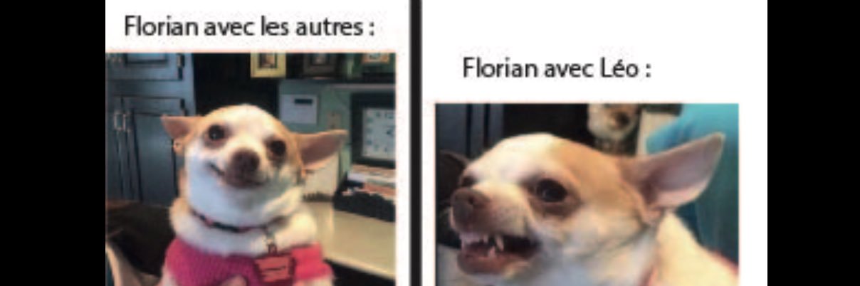 ElFloDeM's profile banner image