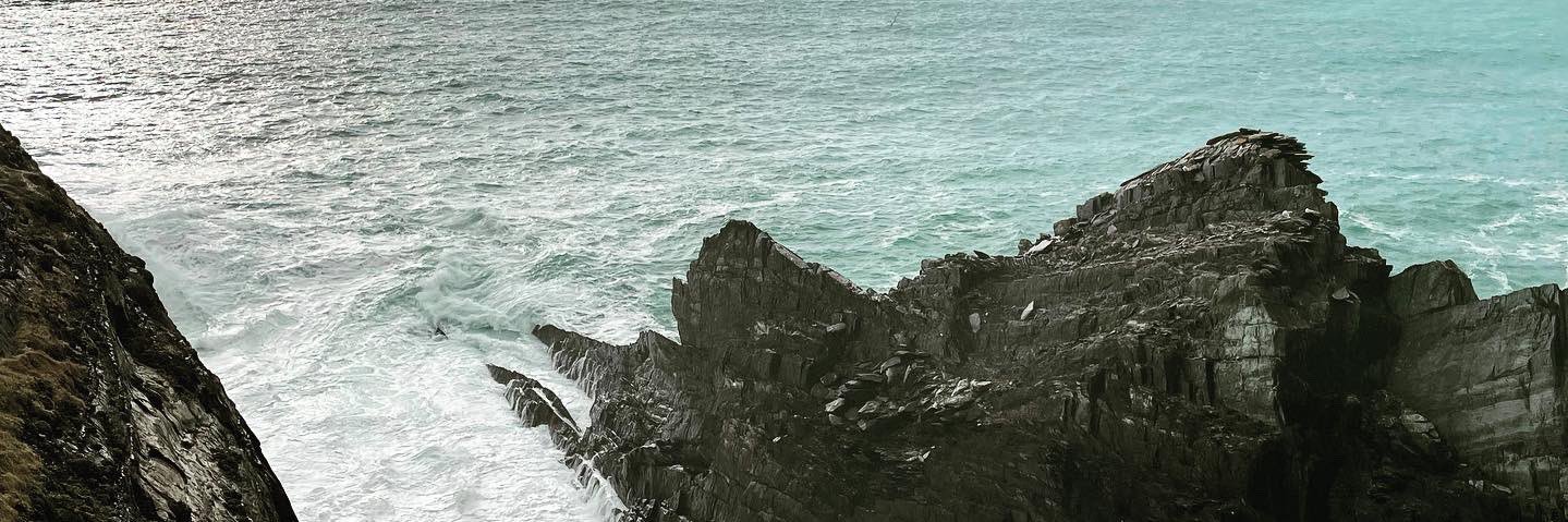 RobynFWilson's profile banner image