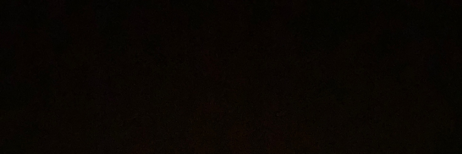 primarilystyles's profile banner image