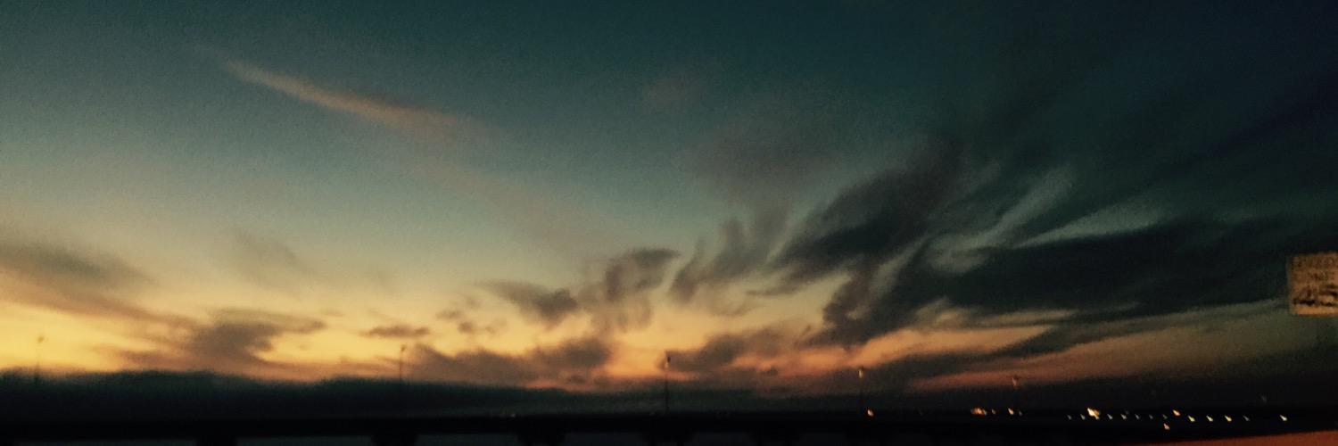 … banner