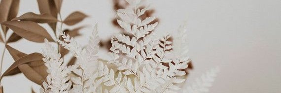 aandreacisneros's profile banner image