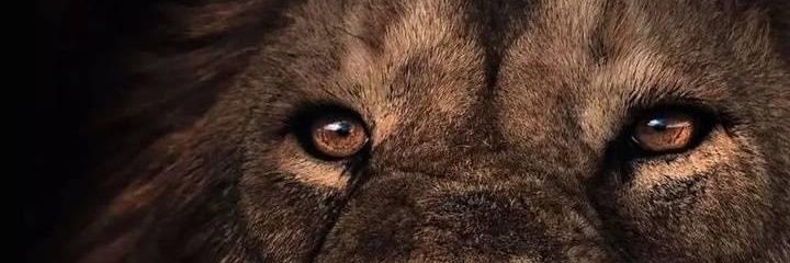 VampKing326's profile banner image