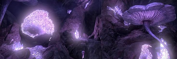 ʞɐʇʇɐ banner