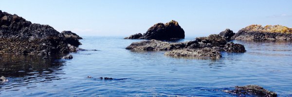 lrfurlow Profile Banner