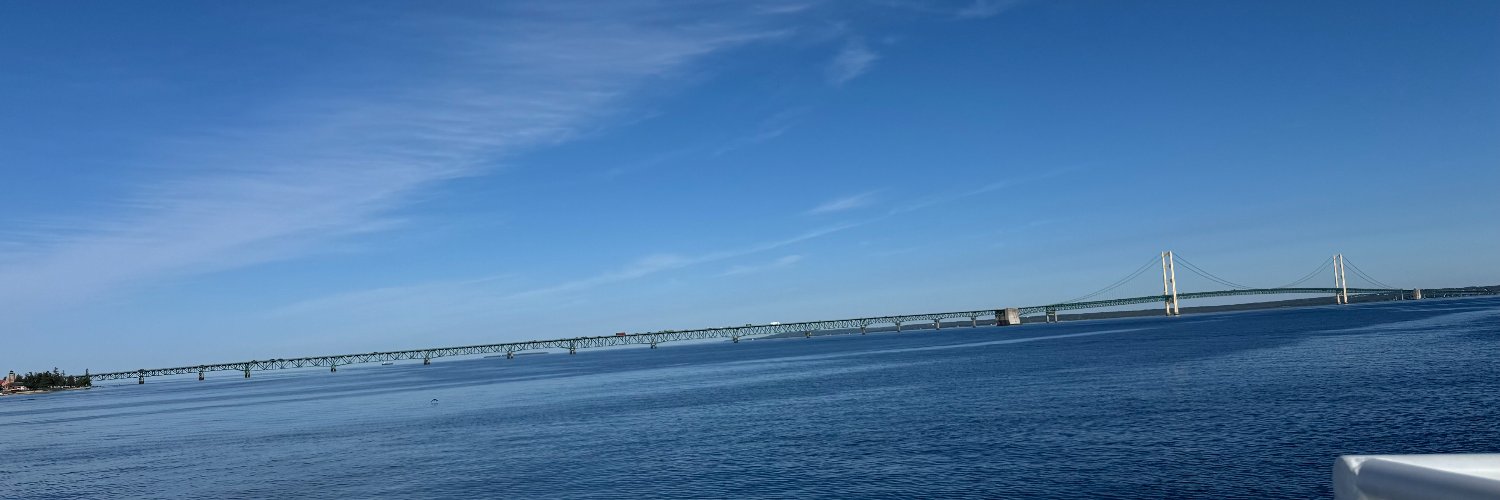 Lisa_Ferden's profile banner image