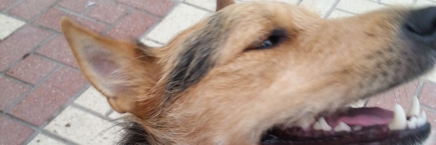 Pablo Manzano banner