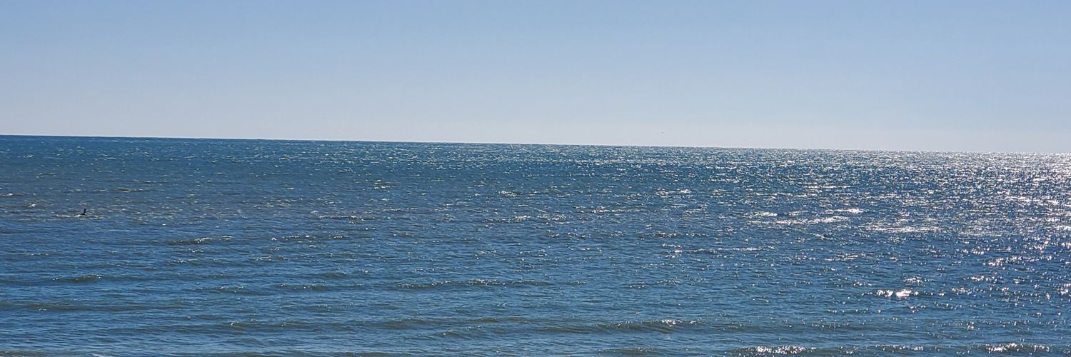 msbbowman1518's profile banner image