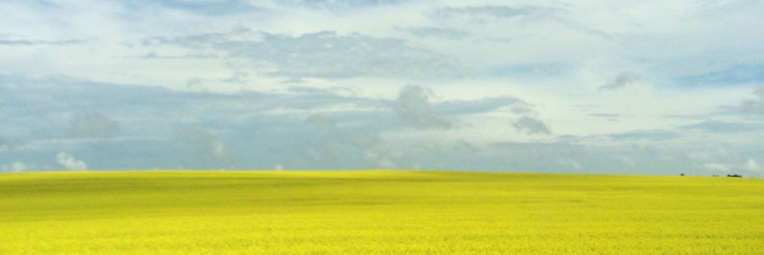 JulieV_18's profile banner image