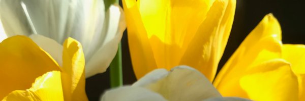 TechTimeWithMem Profile Banner