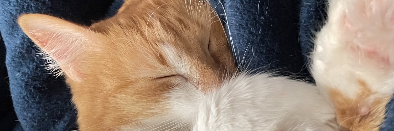 Natcoltro's profile banner image