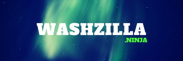 WashZilla Profile Banner