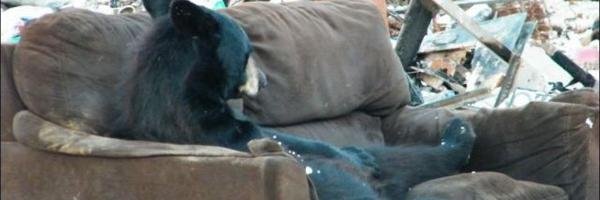 jgerg's profile banner image