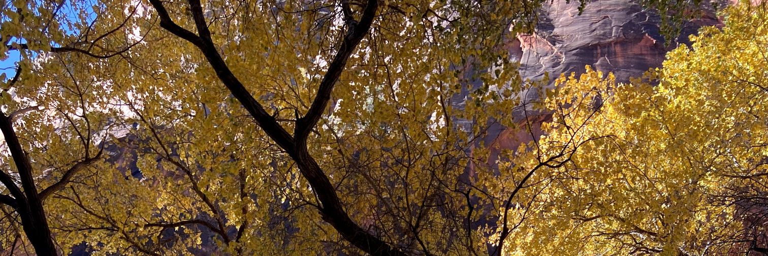 jmlife__'s profile banner image