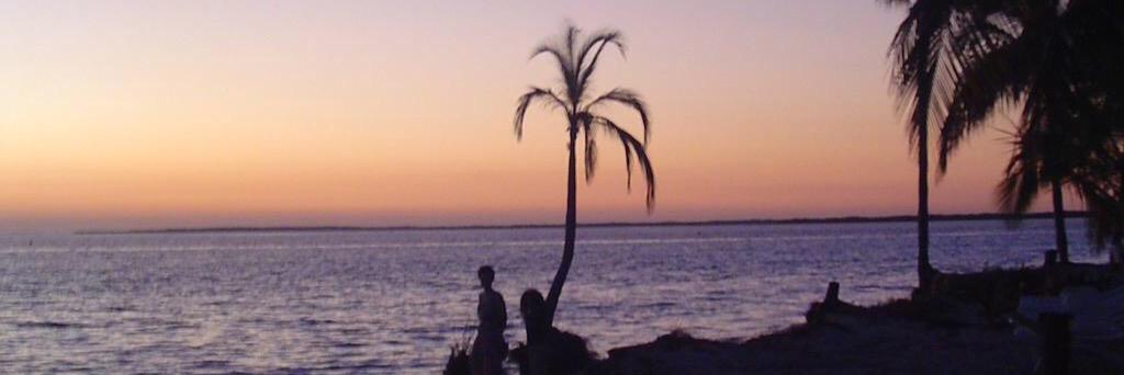 luziadcl's profile banner image