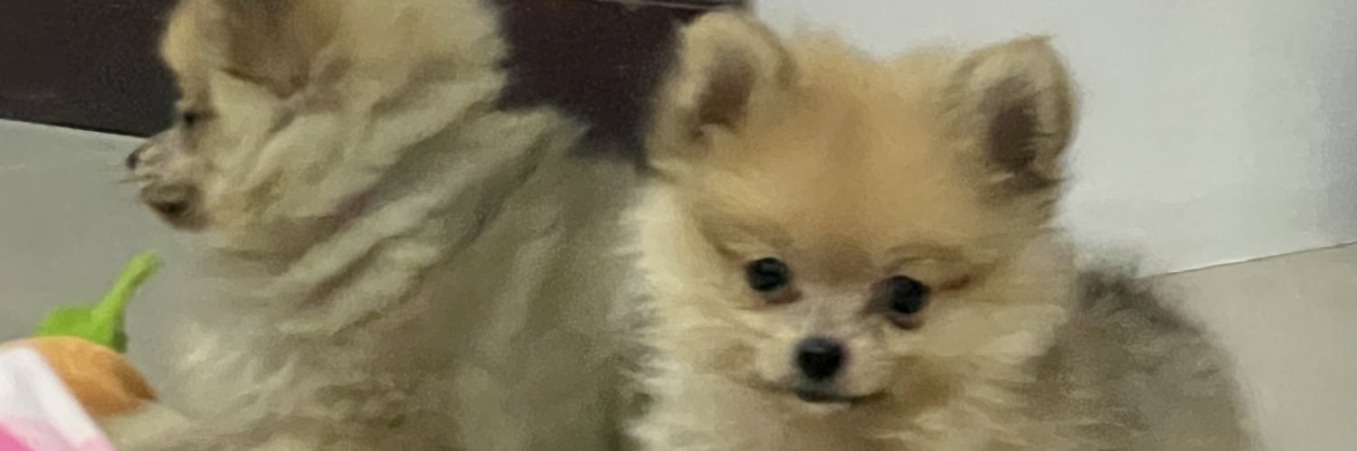 caca_tan99's profile banner image