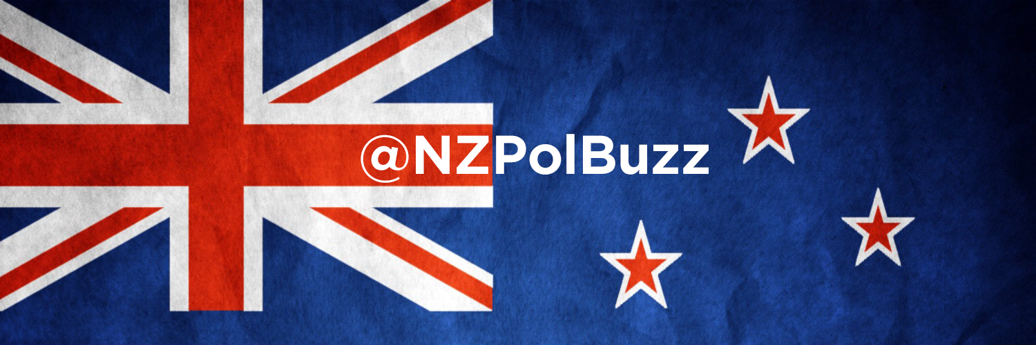 NZPoliticsBuzz's profile banner image