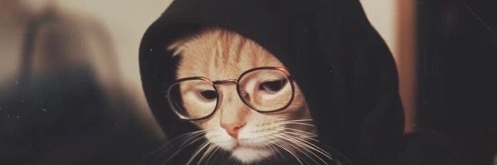 𝐍𝐚𝐭𝐬 banner