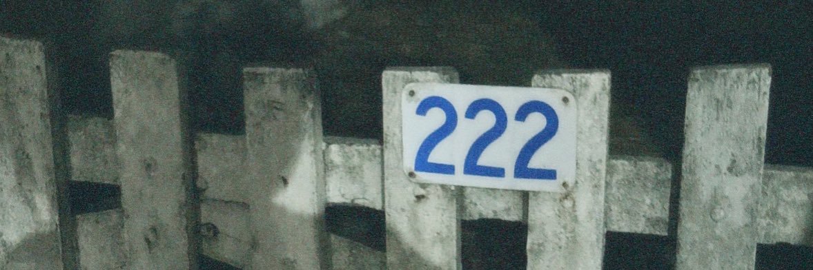 danisapalma's profile banner image
