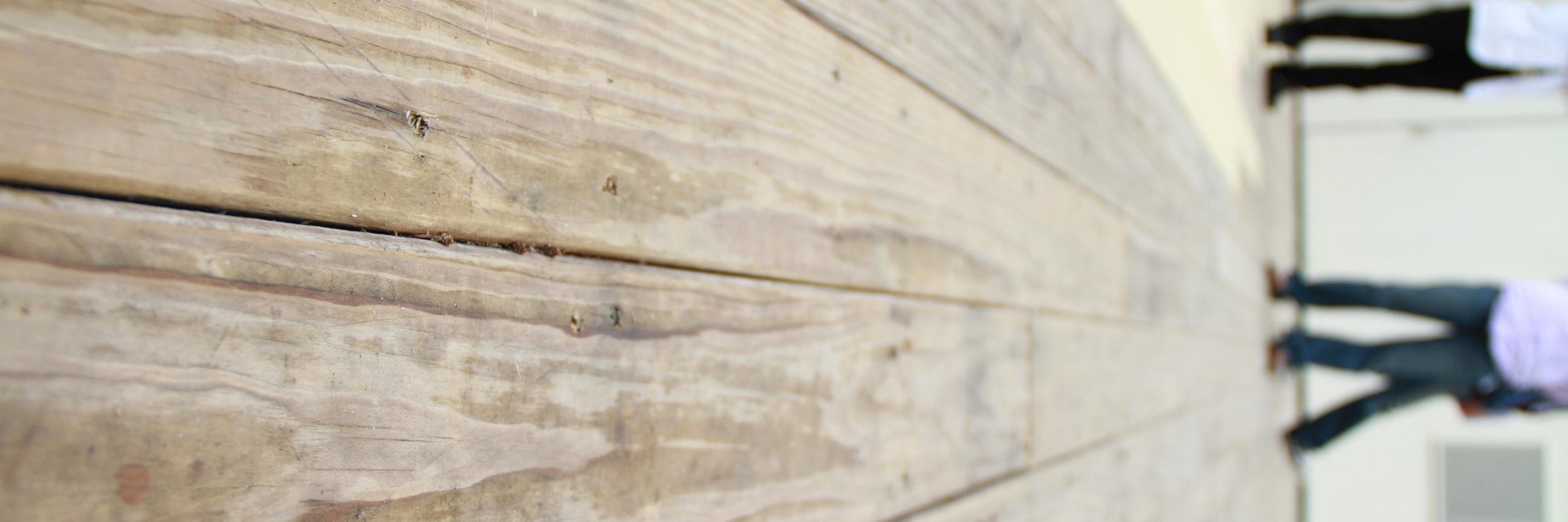 ddotsttw's profile banner image