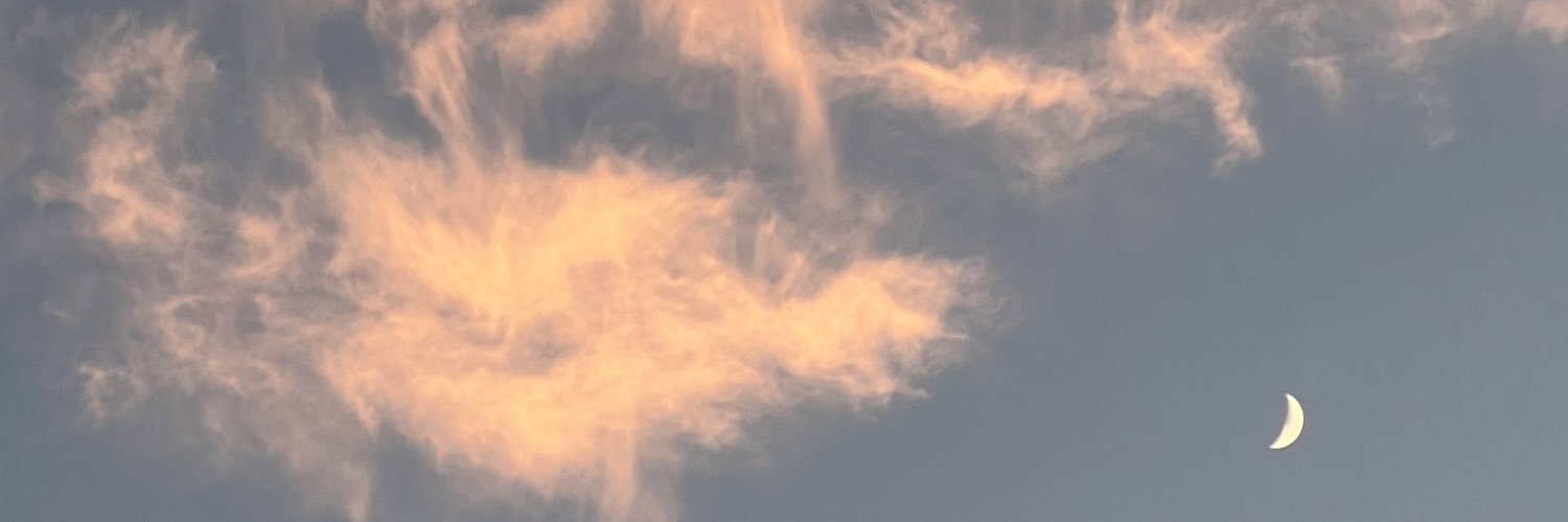 ellaree_'s profile banner image