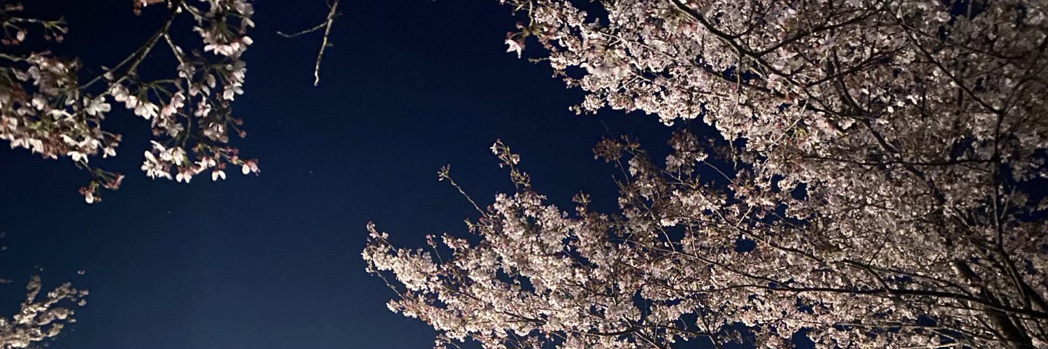 zbhbox's profile banner image