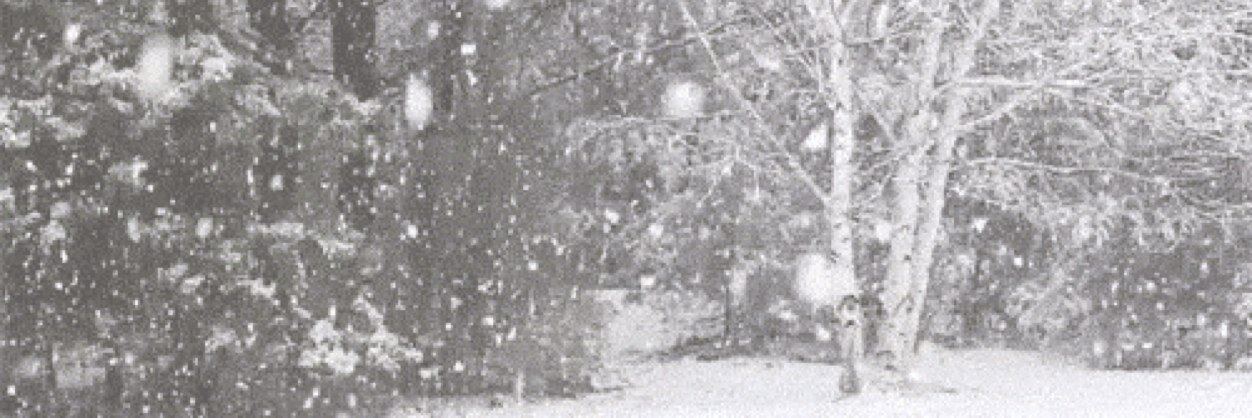 LindsayRPGTSC's profile banner image