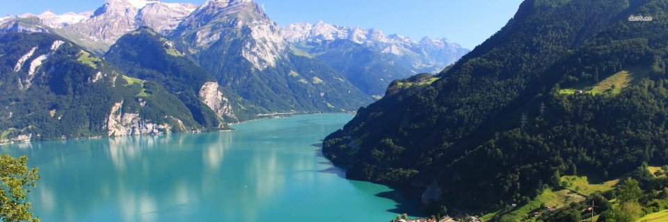 Dimitar Pachov banner