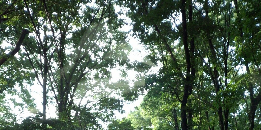 angelpieeeee's profile banner image
